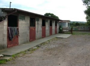 Banwell Equestrian livery in Somerset