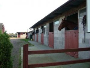Banwell Equestrian livery in Somerset